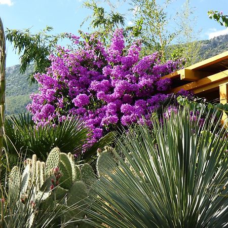 Villa Tropica, Total Privacy, Tropical Garden And Private Pool Kaštela Εξωτερικό φωτογραφία