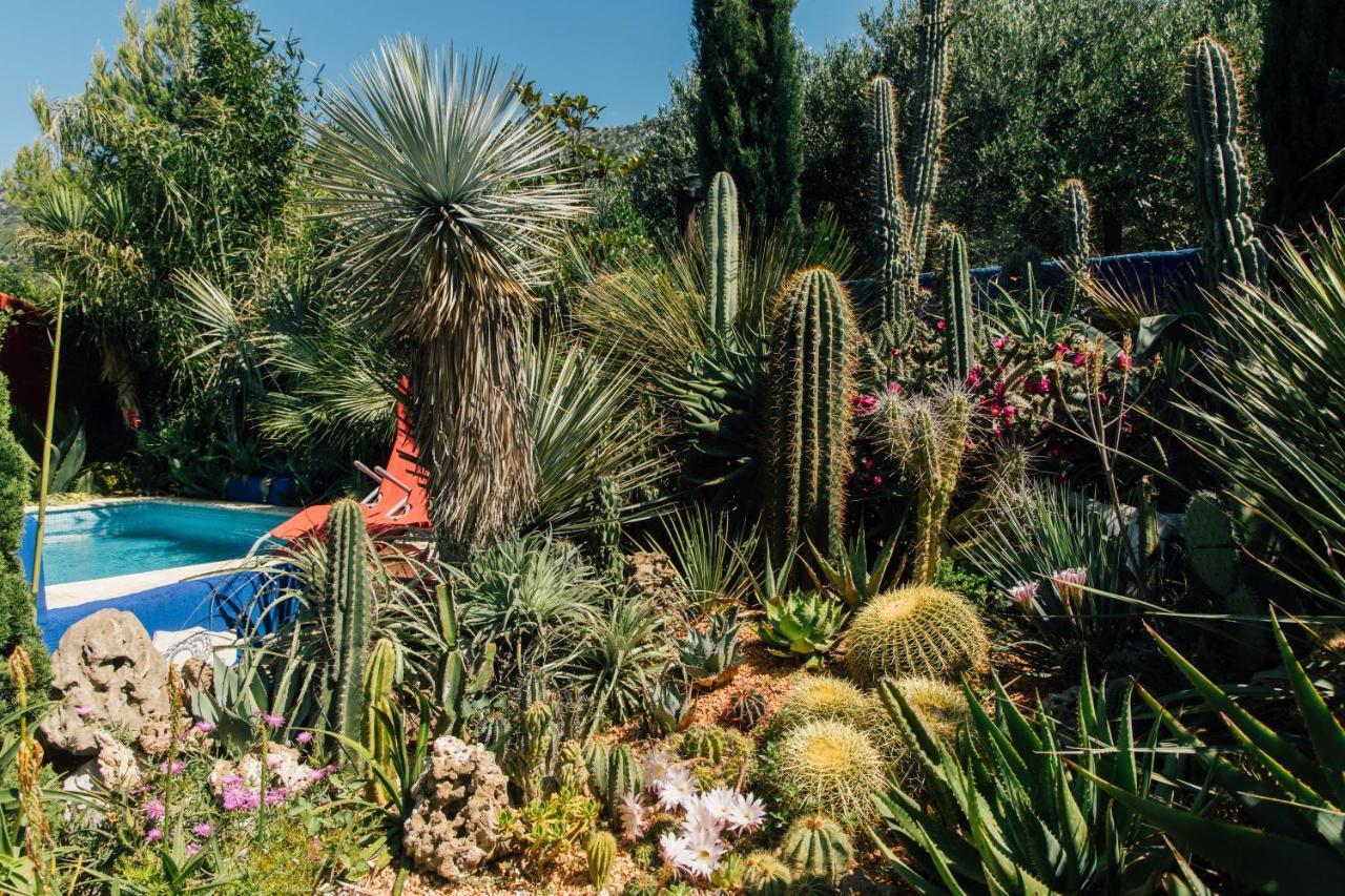 Villa Tropica, Total Privacy, Tropical Garden And Private Pool Kaštela Εξωτερικό φωτογραφία