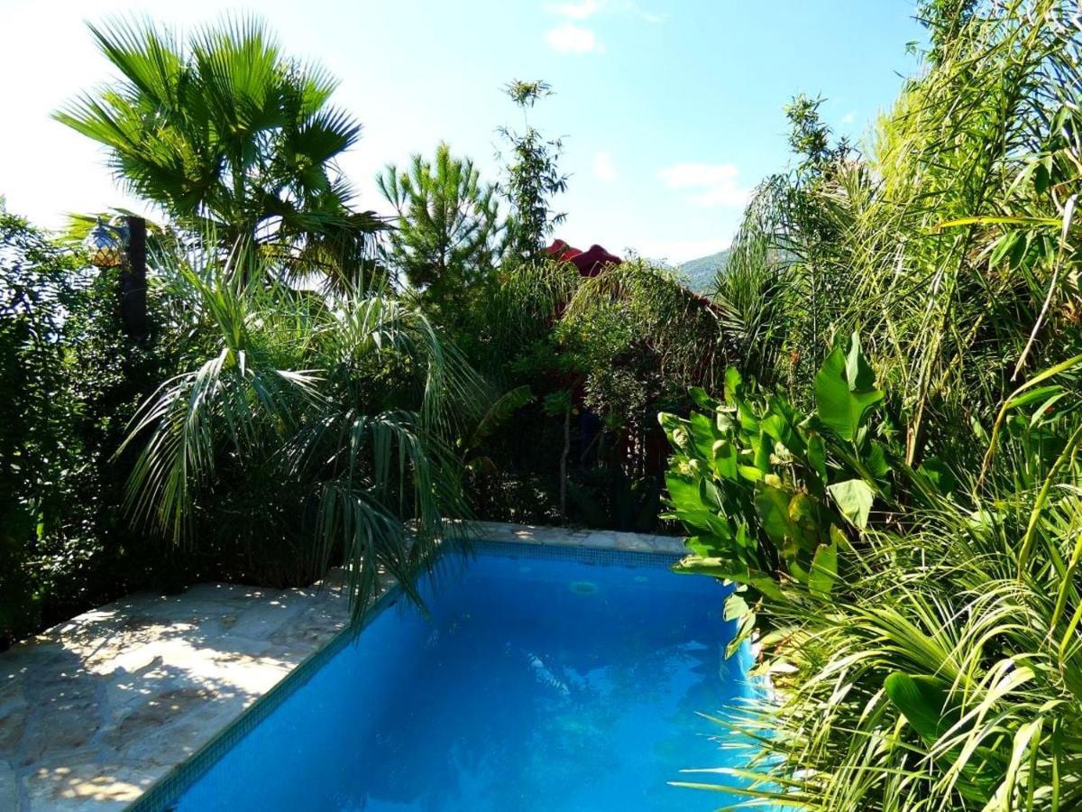 Villa Tropica, Total Privacy, Tropical Garden And Private Pool Kaštela Εξωτερικό φωτογραφία