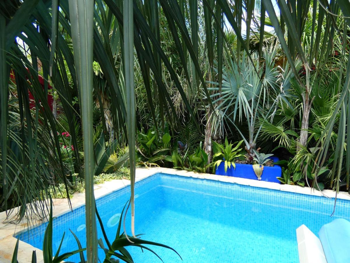 Villa Tropica, Total Privacy, Tropical Garden And Private Pool Kaštela Εξωτερικό φωτογραφία