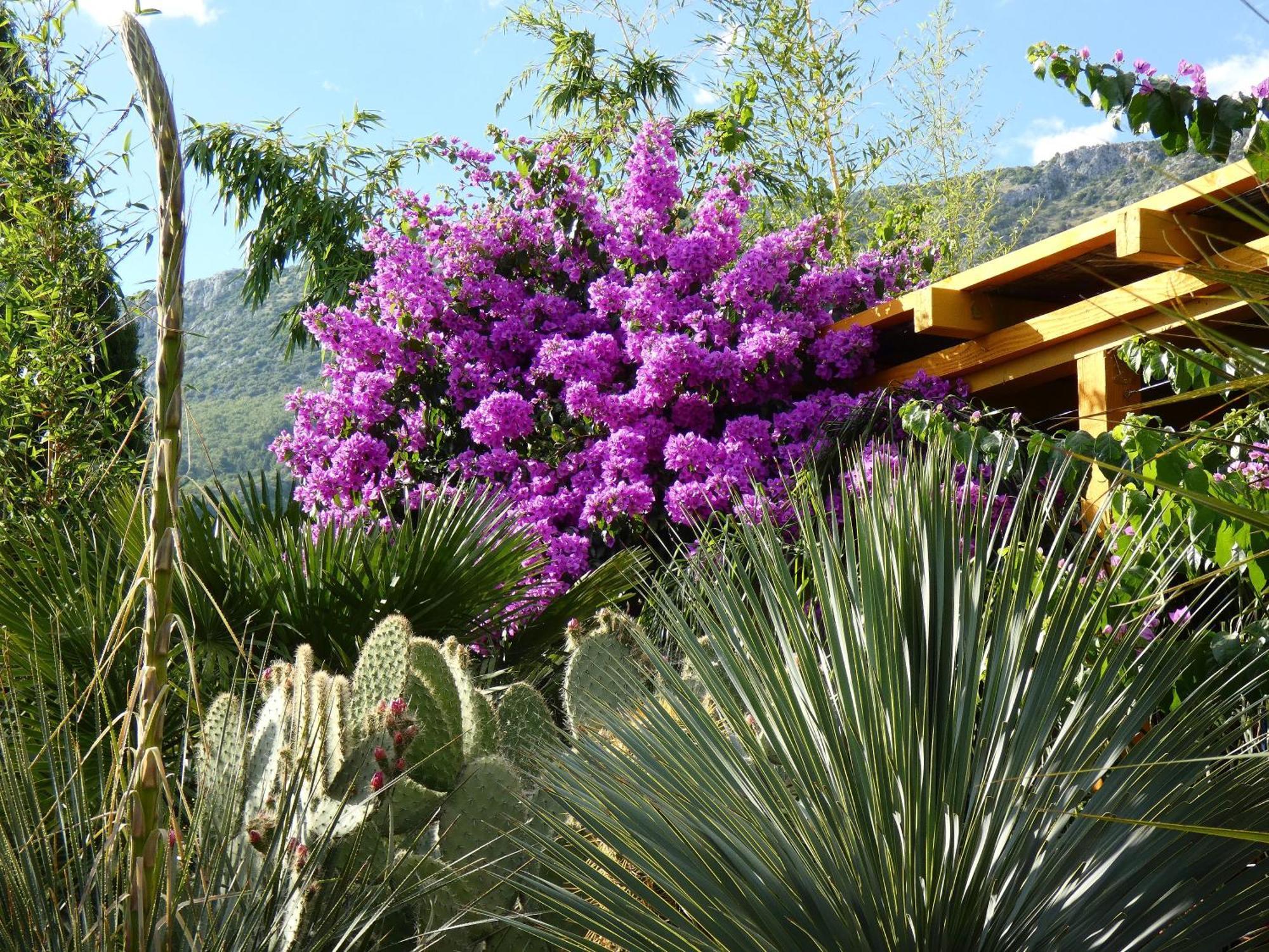 Villa Tropica, Total Privacy, Tropical Garden And Private Pool Kaštela Εξωτερικό φωτογραφία